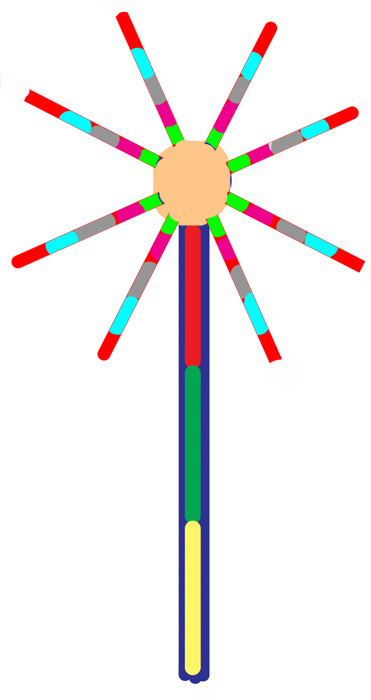 This is how I expect the fireworks to look. 27 channels, with 15 on the "arms" (5*3 chan), 3chan on the middle for a "blast effect" and 9 channels (3*3 chan) on the 2 meter pole up to the center. 10 meters of RGB strip, 1 controller and a 100 watt 12V power supply.